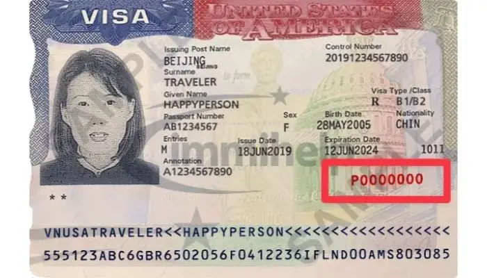 example of travel document number