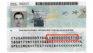 is travel document number same as passport number