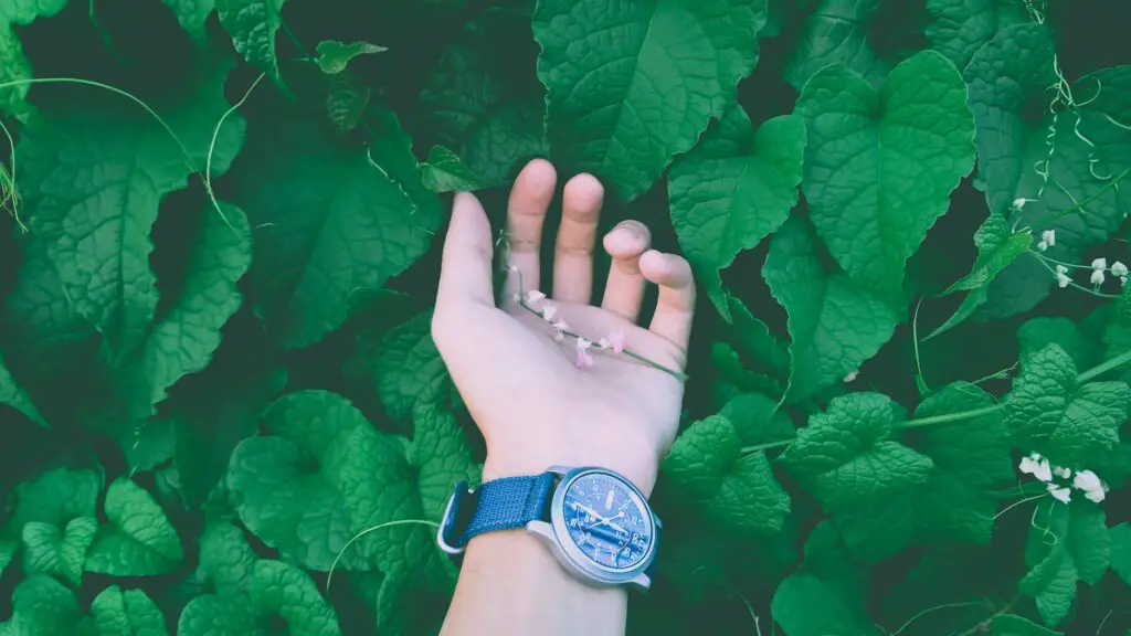 close up photo of a person wearing wristwatch