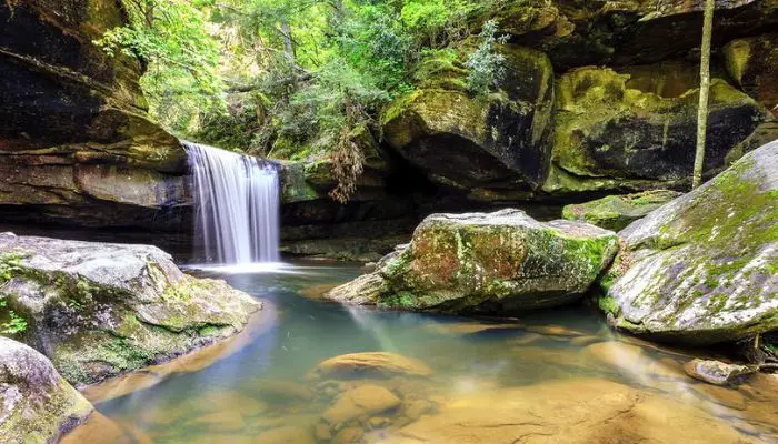 Daniel Boone National Forest