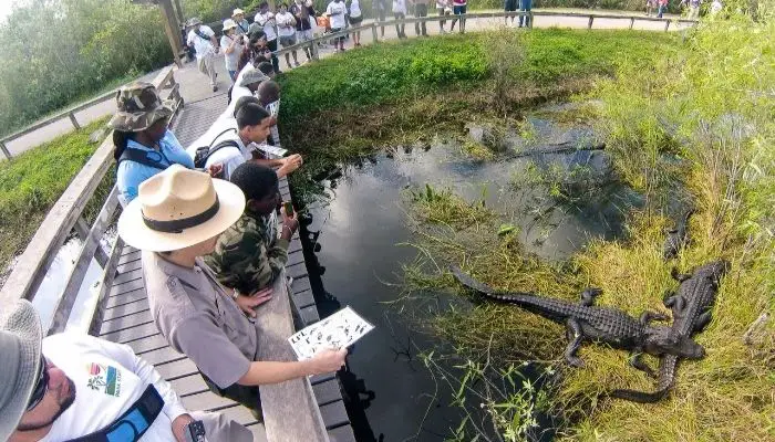 Everglades National Park