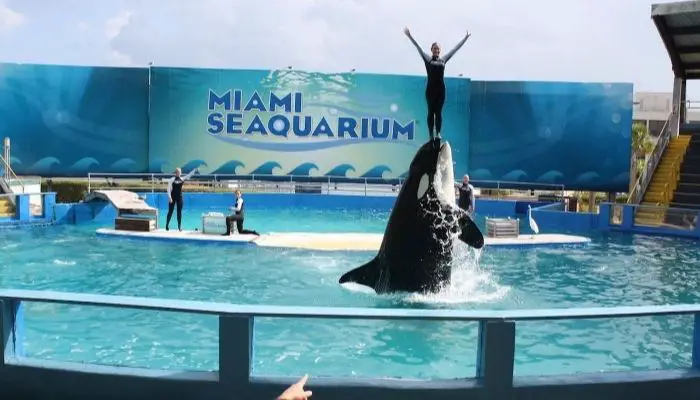 Miami Seaquarium