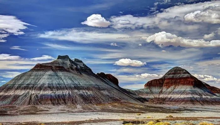 6. Petrified Forest National Park