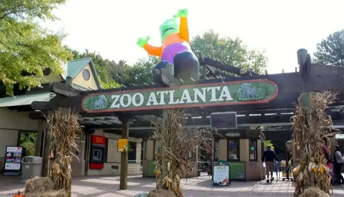 Take the Kids to Zoo Atlanta